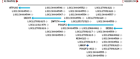 Genomic Context describing neighboring genes