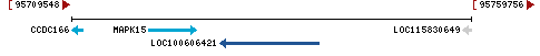 Genomic Context describing neighboring genes