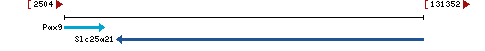 Genomic Context describing neighboring genes