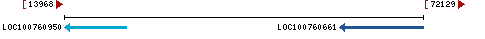 Genomic Context describing neighboring genes