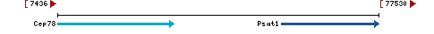 Genomic Context describing neighboring genes