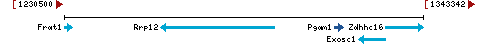 Genomic Context describing neighboring genes