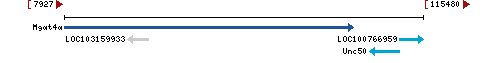 Genomic Context describing neighboring genes