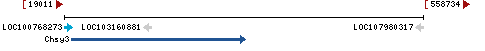 Genomic Context describing neighboring genes