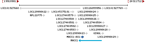 Genomic Context describing neighboring genes