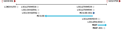 Genomic Context describing neighboring genes