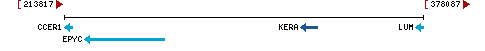 Genomic Context describing neighboring genes