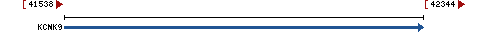 Genomic Context describing neighboring genes