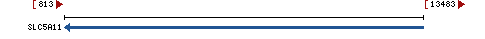 Genomic Context describing neighboring genes