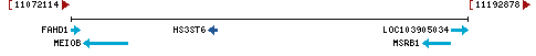 Genomic Context describing neighboring genes