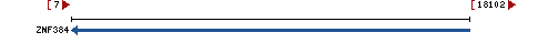 Genomic Context describing neighboring genes