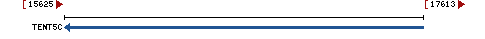 Genomic Context describing neighboring genes