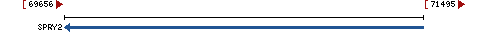 Genomic Context describing neighboring genes