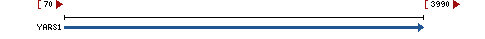 Genomic Context describing neighboring genes