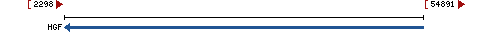 Genomic Context describing neighboring genes