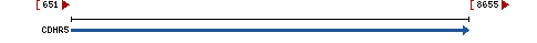 Genomic Context describing neighboring genes