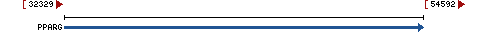 Genomic Context describing neighboring genes