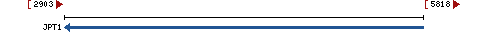 Genomic Context describing neighboring genes