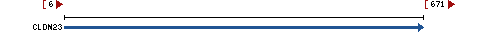 Genomic Context describing neighboring genes