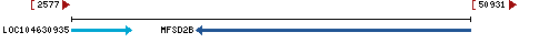 Genomic Context describing neighboring genes