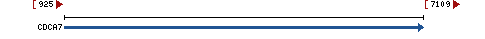 Genomic Context describing neighboring genes