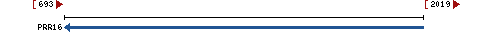 Genomic Context describing neighboring genes