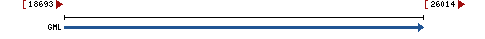 Genomic Context describing neighboring genes