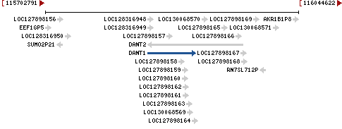 Genomic Context describing neighboring genes