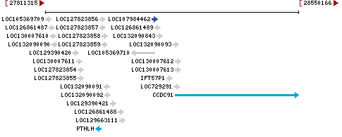 Genomic Context describing neighboring genes