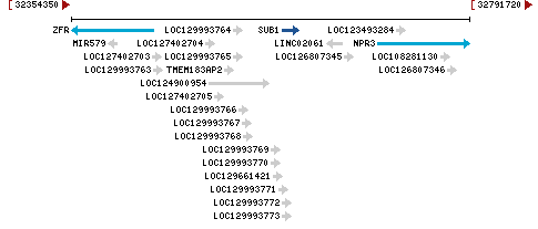 Genomic Context describing neighboring genes