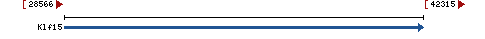 Genomic Context describing neighboring genes