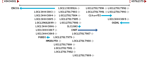 Genomic Context describing neighboring genes