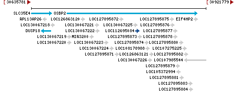 Genomic Context describing neighboring genes