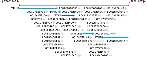 Genomic Context describing neighboring genes