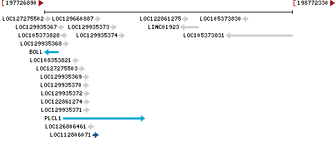 Genomic Context describing neighboring genes