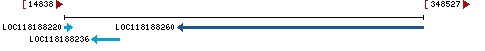 Genomic Context describing neighboring genes