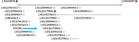 Genomic Context describing neighboring genes