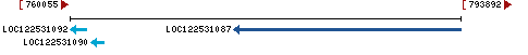 Genomic Context describing neighboring genes