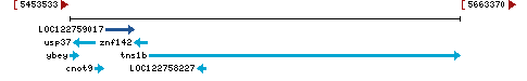 Genomic Context describing neighboring genes