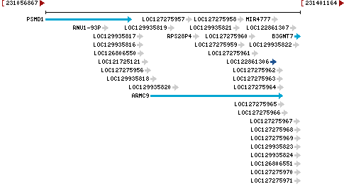 Genomic Context describing neighboring genes