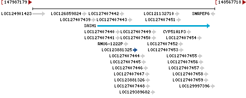 Genomic Context describing neighboring genes