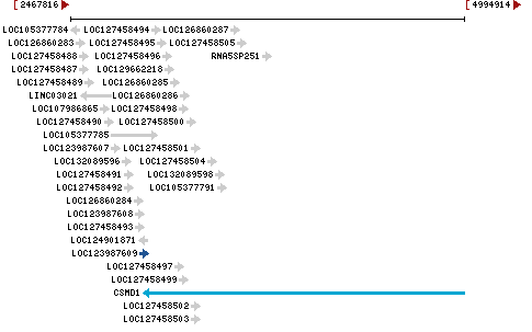 Genomic Context describing neighboring genes