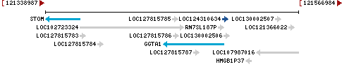 Genomic Context describing neighboring genes