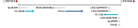 Genomic Context describing neighboring genes