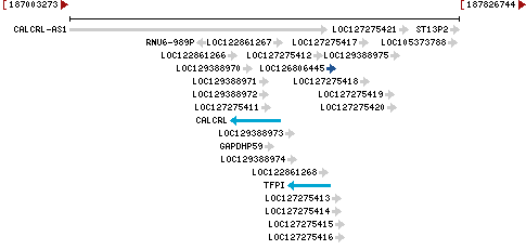 Genomic Context describing neighboring genes