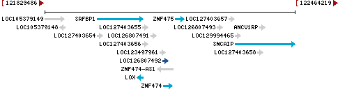 Genomic Context describing neighboring genes