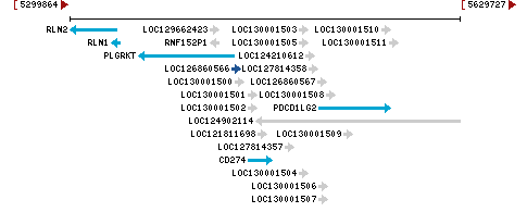 Genomic Context describing neighboring genes