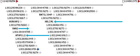 Genomic Context describing neighboring genes