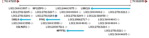 Genomic Context describing neighboring genes