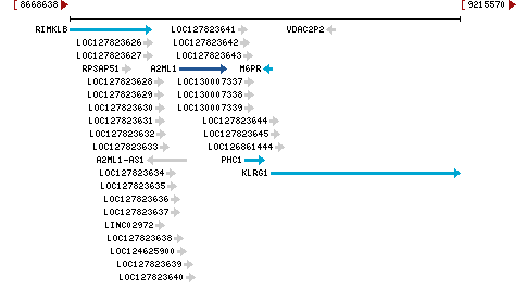 Genomic Context describing neighboring genes